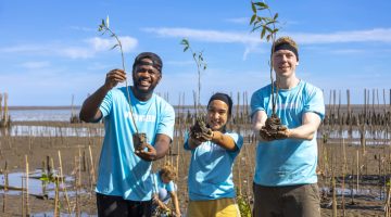 Team of young and diversity volunteer worker group enjoy charitable social work outdoor in mangrove planting NGO work for fighting climate change and global warming in coastline habitat project